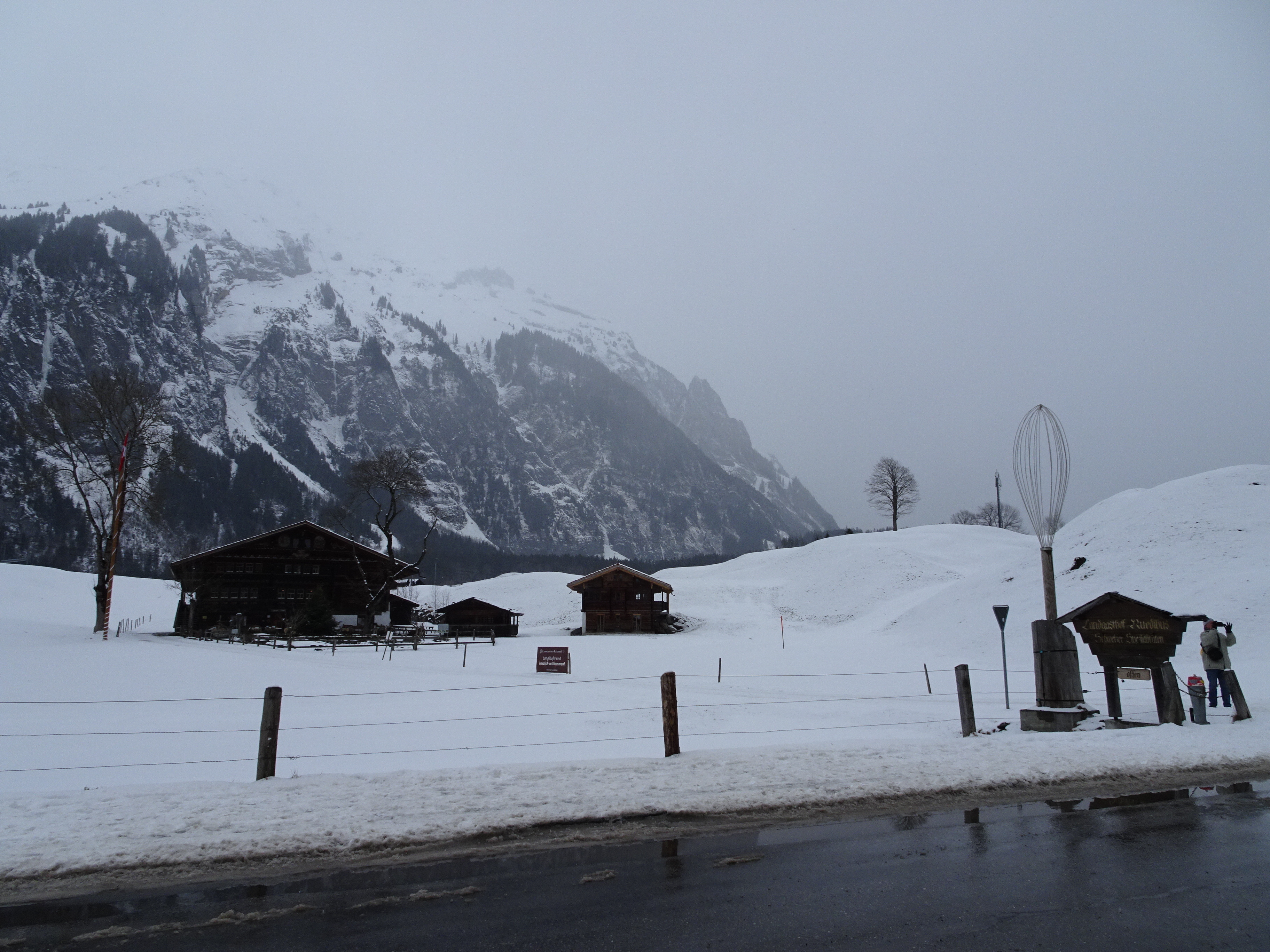 gvb_schneewanderung_014.jpg